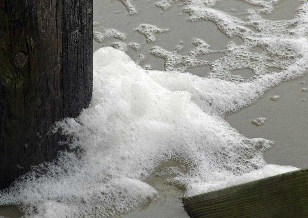 tapatalk_1492087126596-jpeg.503773