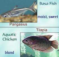 1448292203117-jpg.307194