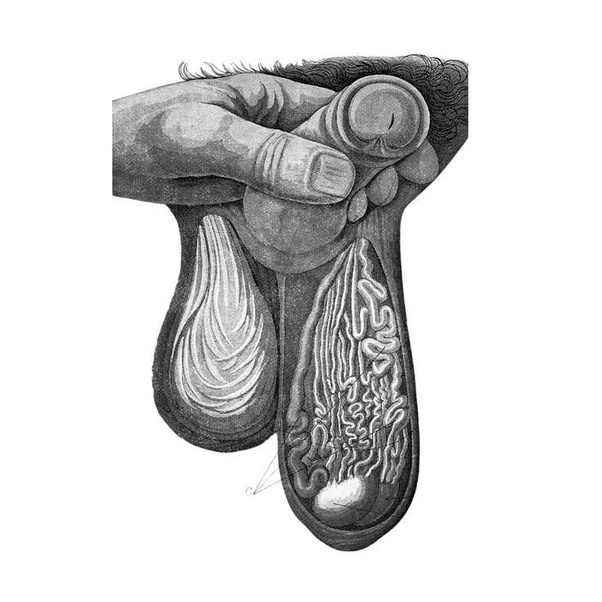 main-qimg-9382669deea78fa2047fa6e453953a6f