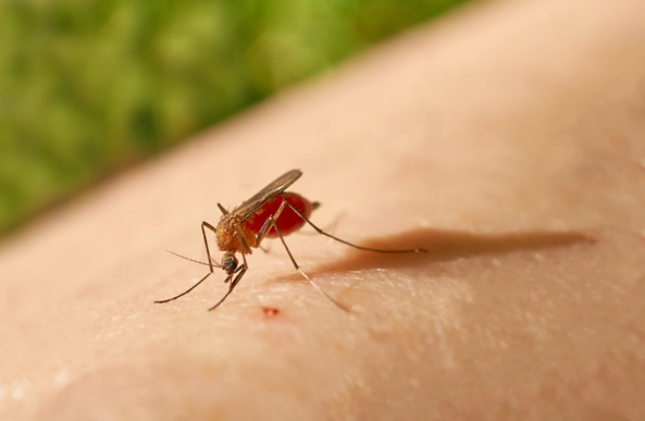 1727769639187-png.3111906