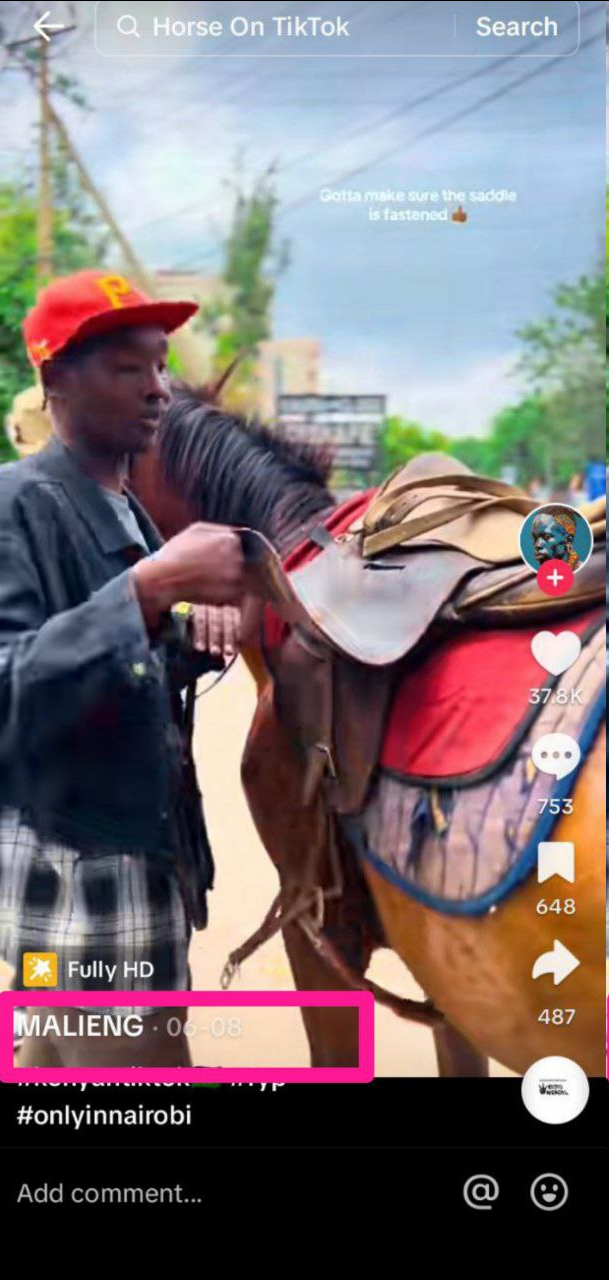 1719133756041-png.3023785