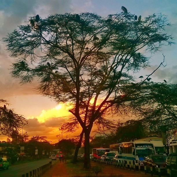 BzpkL_XCIAAunN0.jpg:large