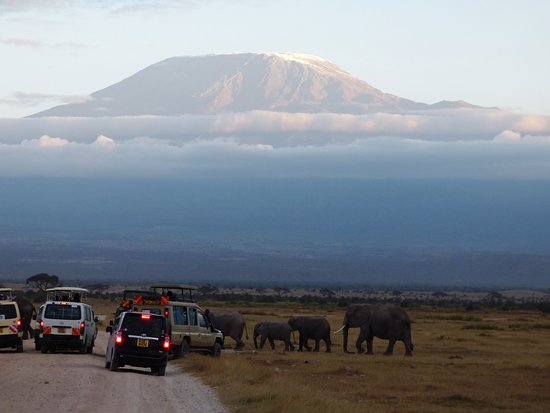 mt-kilimanjaro-amboseli.jpg
