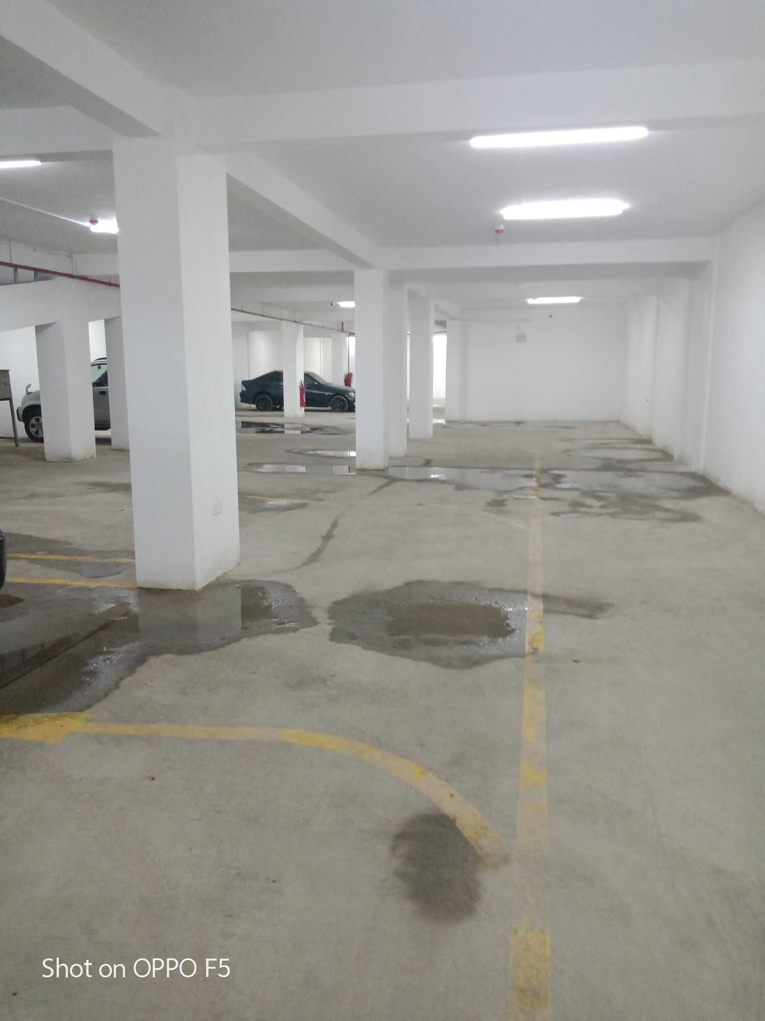 img20190401180955-jpg.1078403