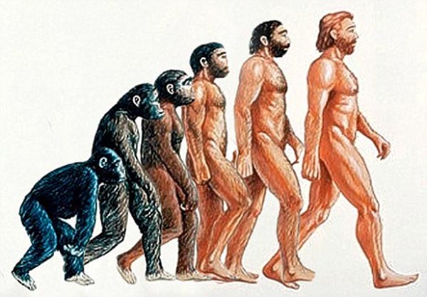 Humans-Evolved-from-Apes.jpg