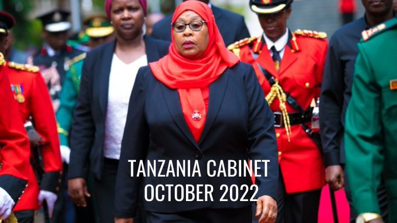 www.tanzaniainvest.com