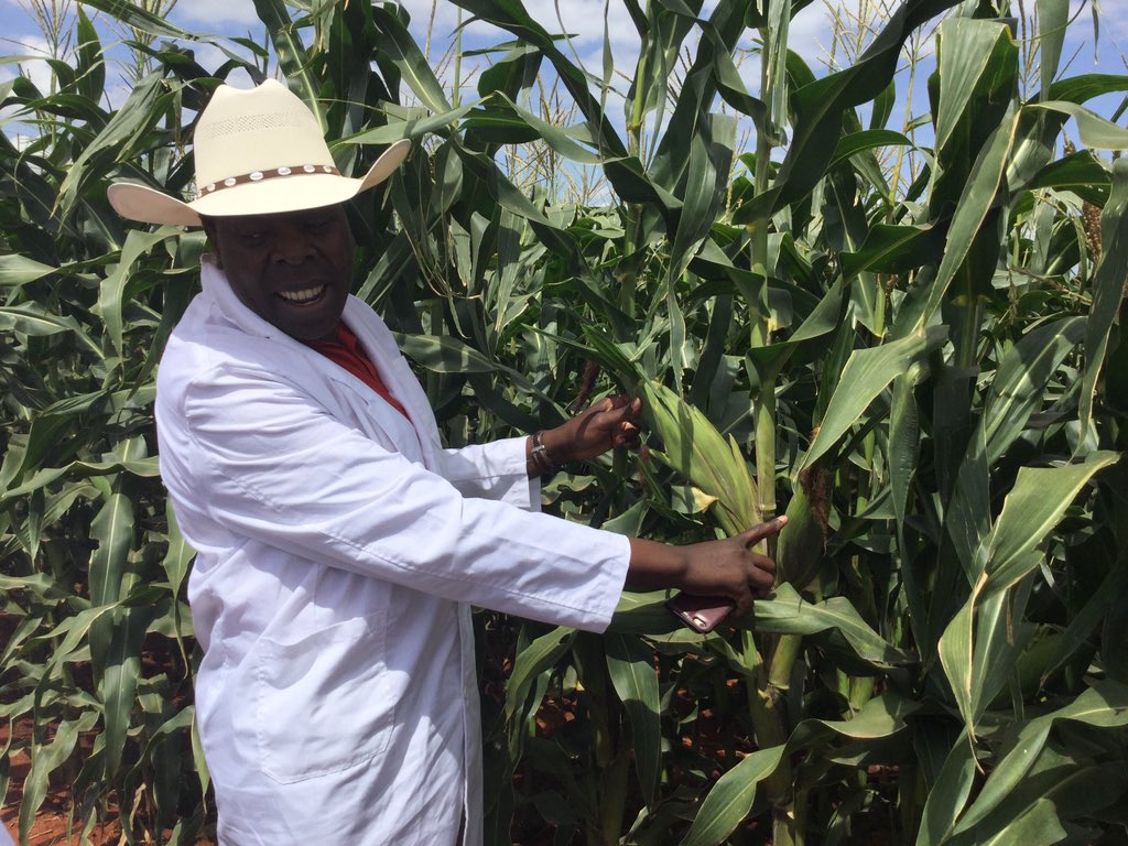 Cmbt0vqWIAAVrOG.jpg:large