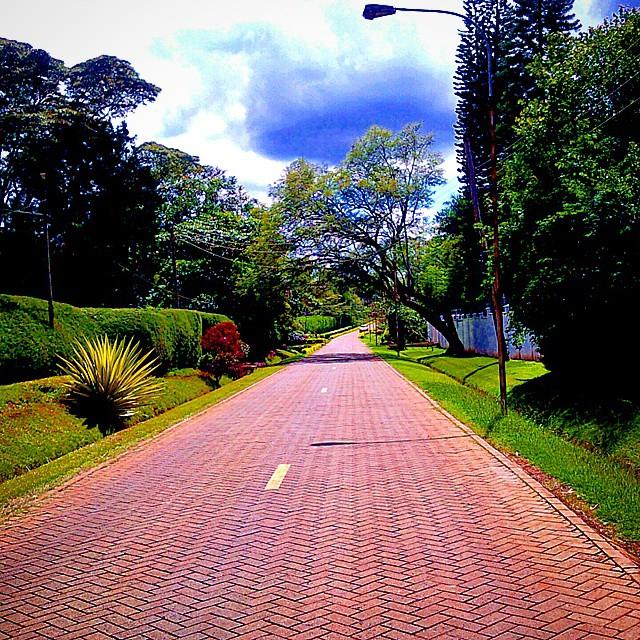 ByTGds9IgAAfHta.jpg:large