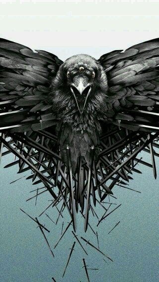 main-qimg-fe212e3da2566eebeb5c71573cfecba9-c