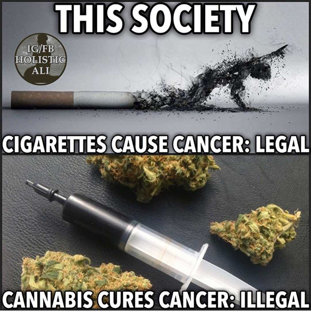 conspiracyfiles-20171218-0001-jpg.656886