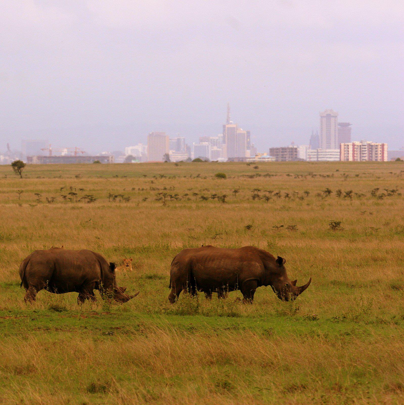 CCiU62xUgAAaOON.jpg:large