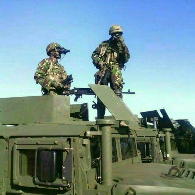 6489694_csg7nxkae3wib_jpeg33236c3e52bab11e0d351b399dc6d897