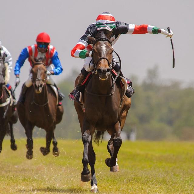 B7y-XicCIAA1aYU.jpg:large