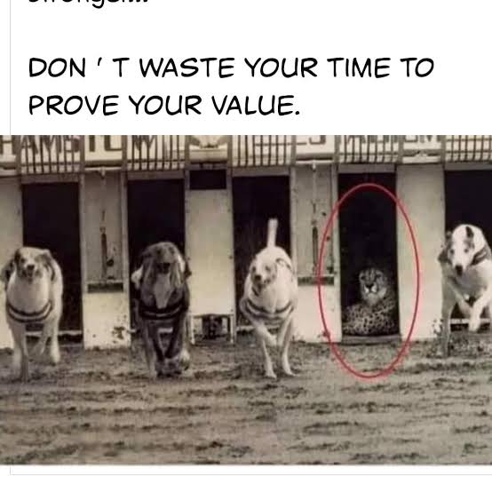 images-60-jpeg.3250305