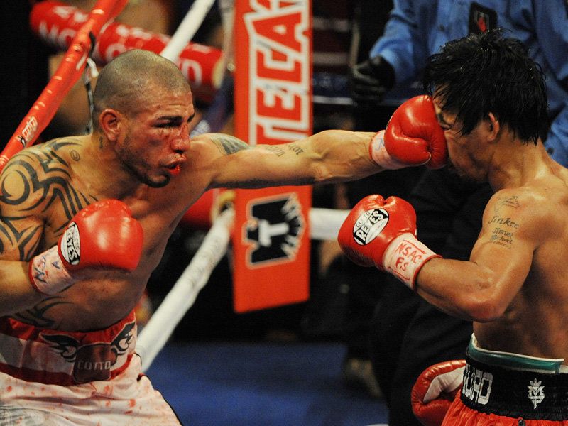 brave-Cotto-still-lands_2384921.jpg