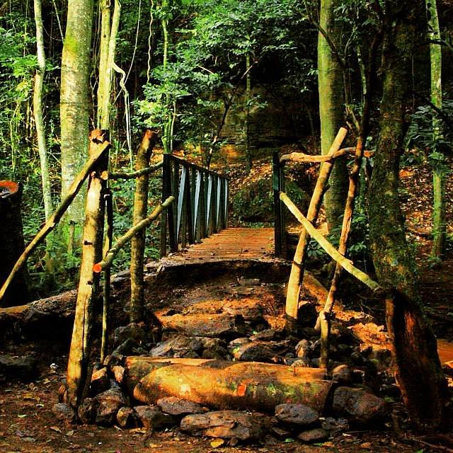 CBFw2sNUYAAZ_88.jpg:large