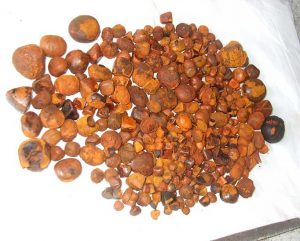 South-african-Ox-gallstones-300x241.jpg