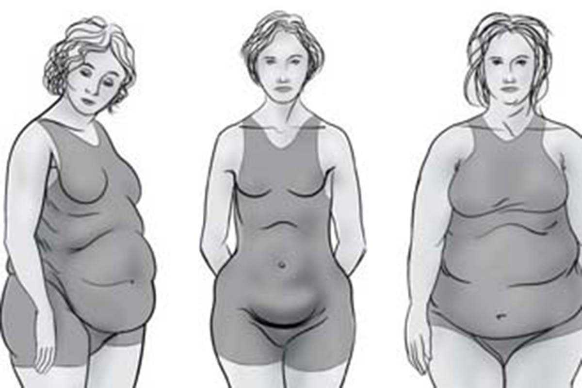 bodyshapes-fb-jpg.411718