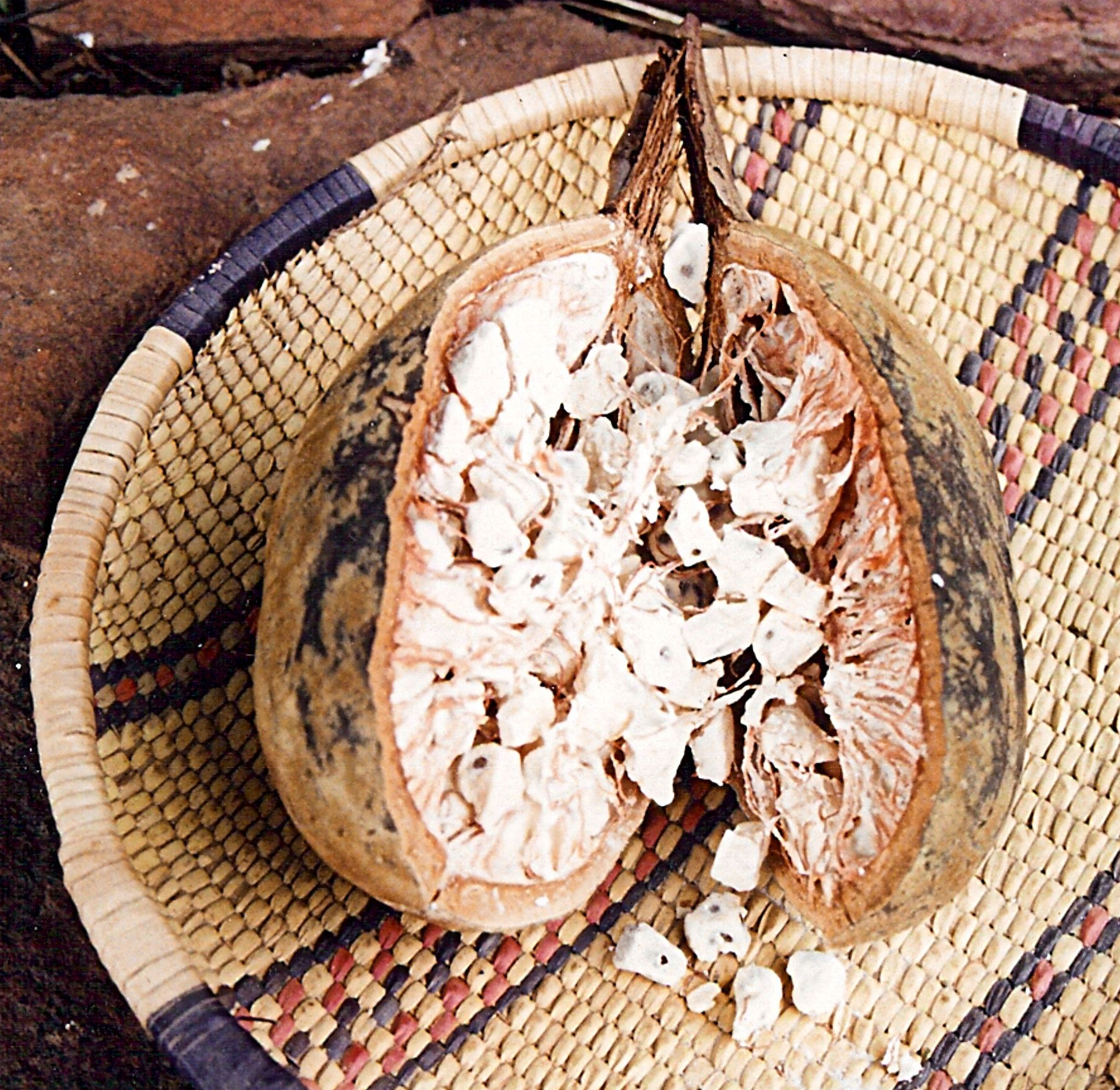 Baobab_seeds.jpg