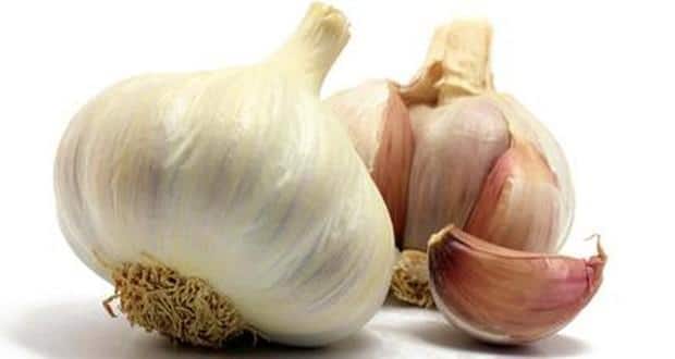 garlic1.jpg