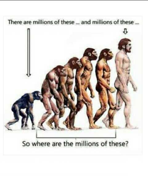 img_20160909_214803-jpg.397147