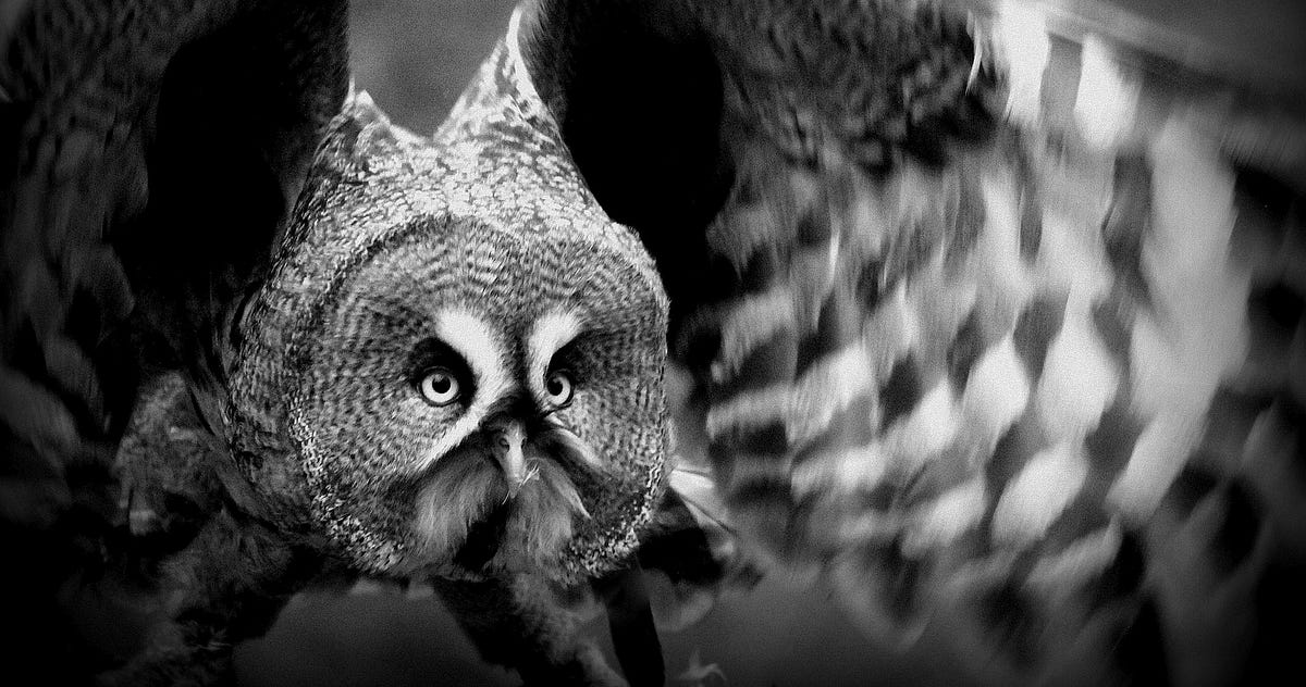 towardsdatascience.com