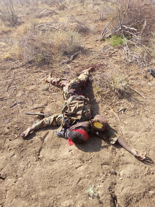 6773775_img20180302205641_jpeg6ba081138d9c87b59a0dd33bed9c23c6