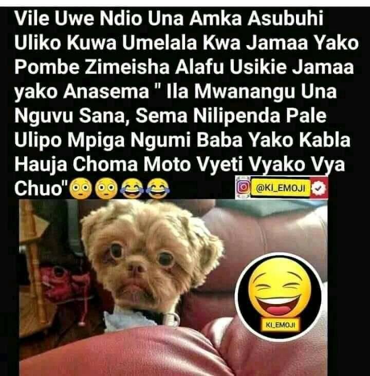 3012007_img_1637784938240-jpg.2060234