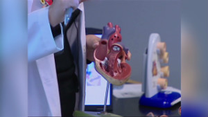 121105073157-heart-disease-costs-00011227-story-body.jpg