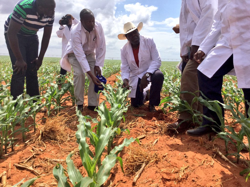 CmbkWkUWIAAqWeK.jpg:large