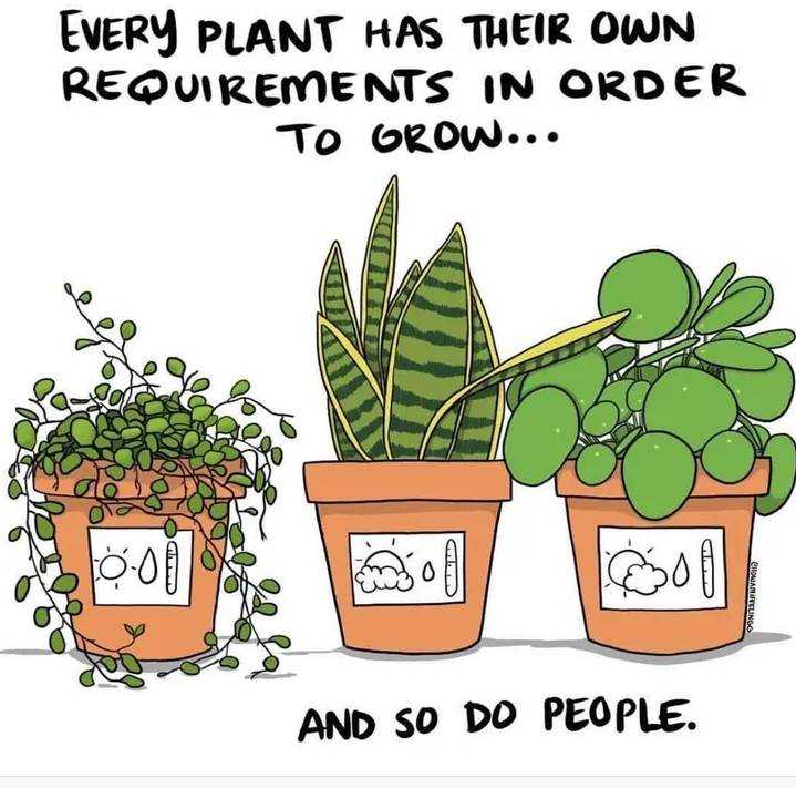 screenshot_20220220-150533-jpg.2125018