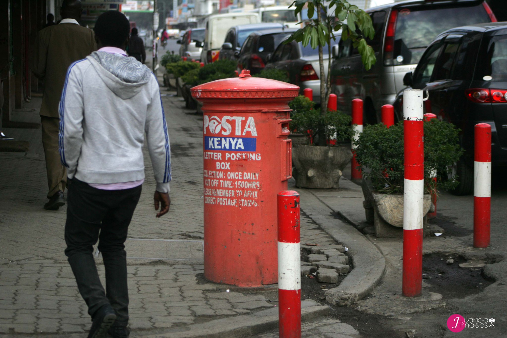 CY_t5XtWYAAN_Do.jpg:large