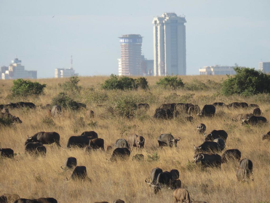 CRbJW3dVEAES1If.jpg:large