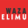 wazaelimu.com