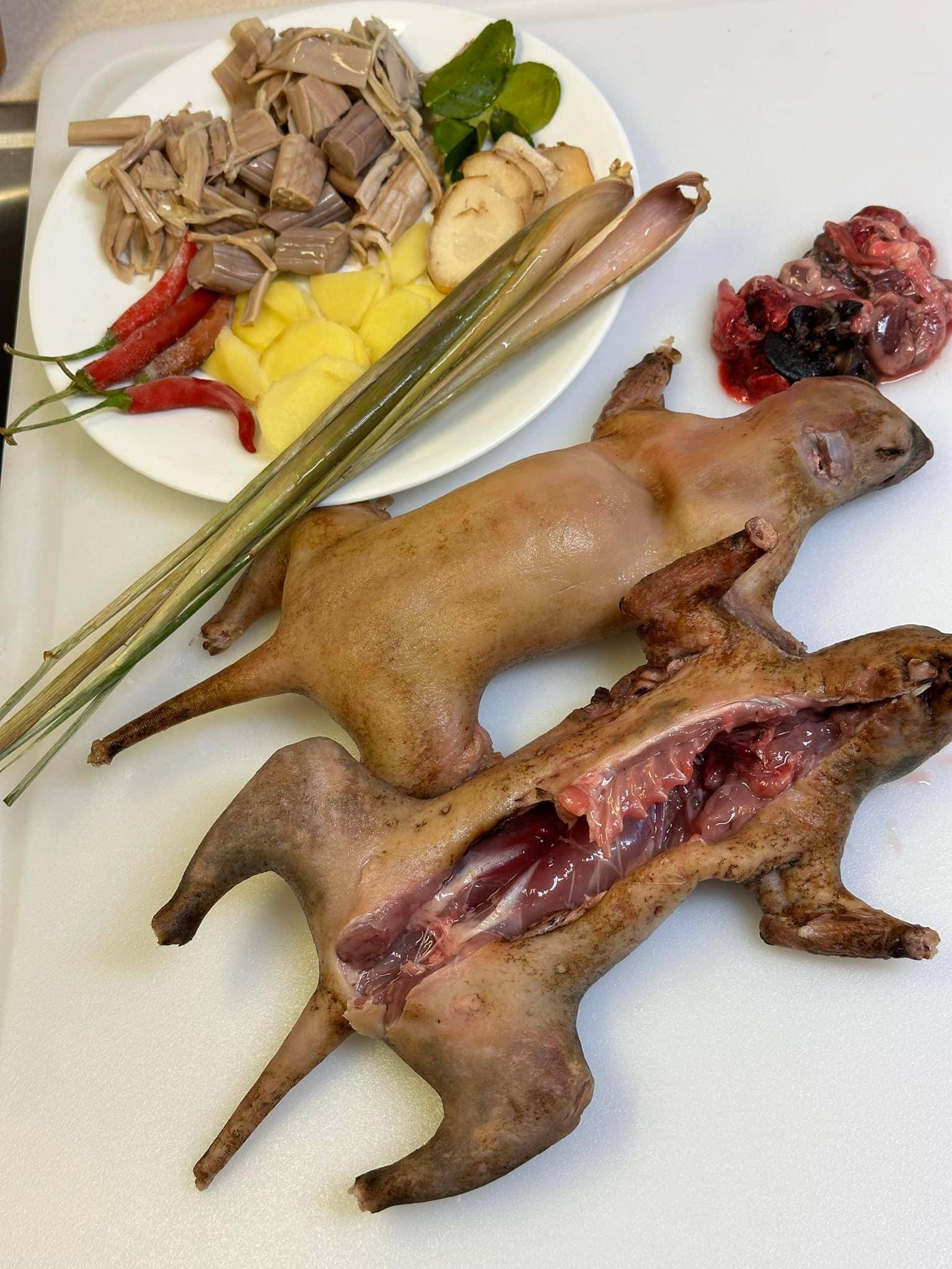 img_4760-jpg.2881316