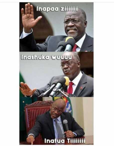 img_20180719_220629-jpg.813556