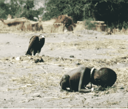 1694038044607-png.2741531