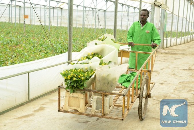 C4kFrRlWAAAmV60.jpg:small