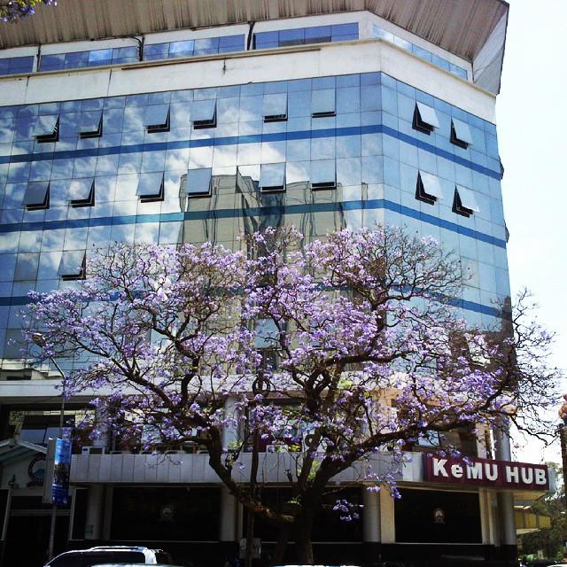 B0OjzWsCIAAN3_D.jpg:large