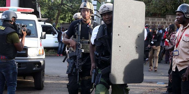 8542431_1547631366301_jpeg6c985f3db7d617c1b82c0417f48f6935