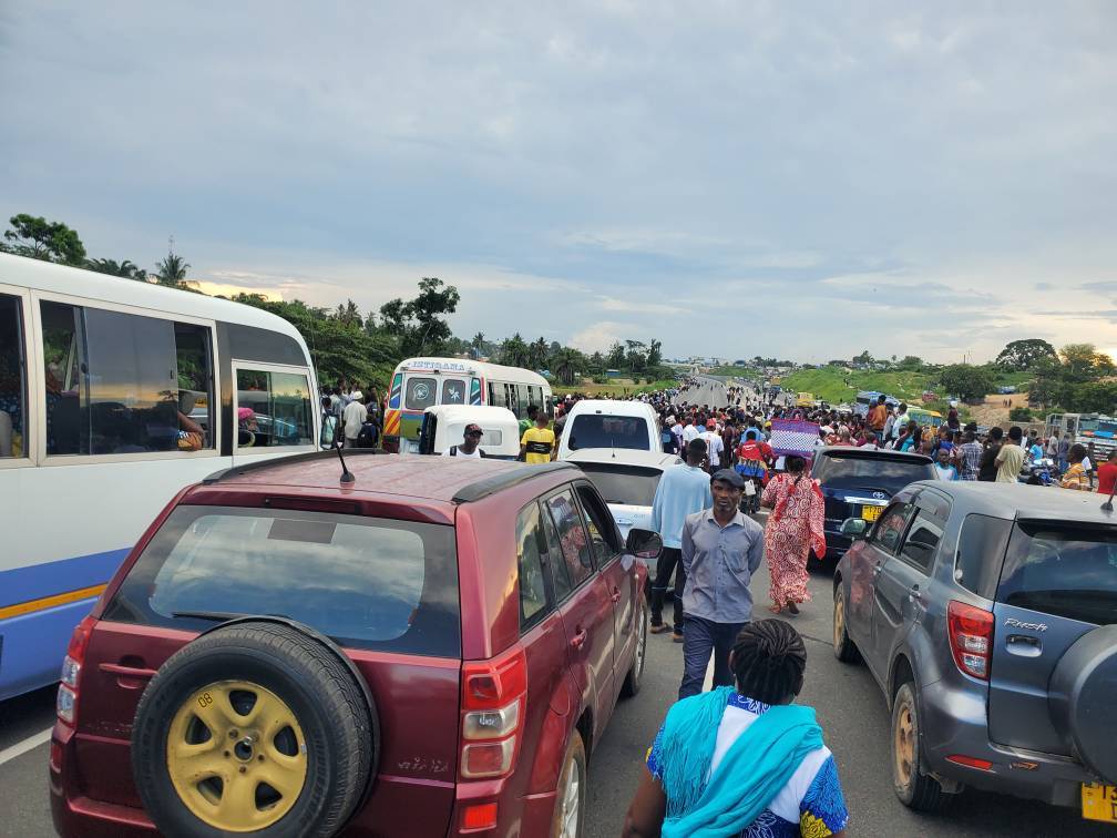 20230329_170638-jpg.2570101