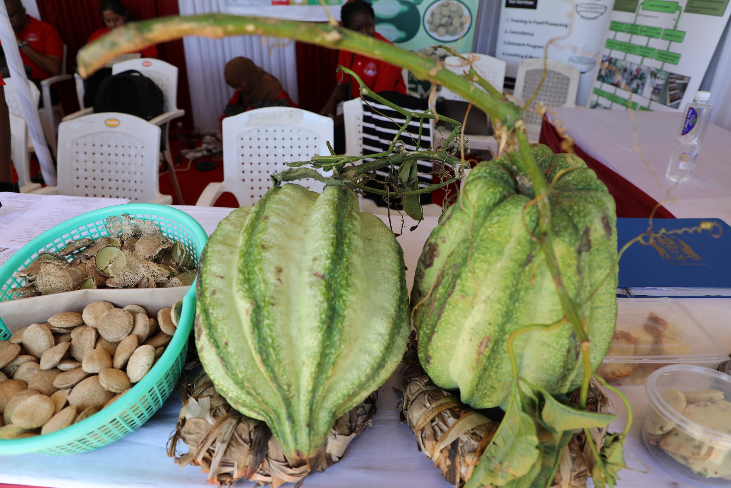 fullshangweblog.co.tz