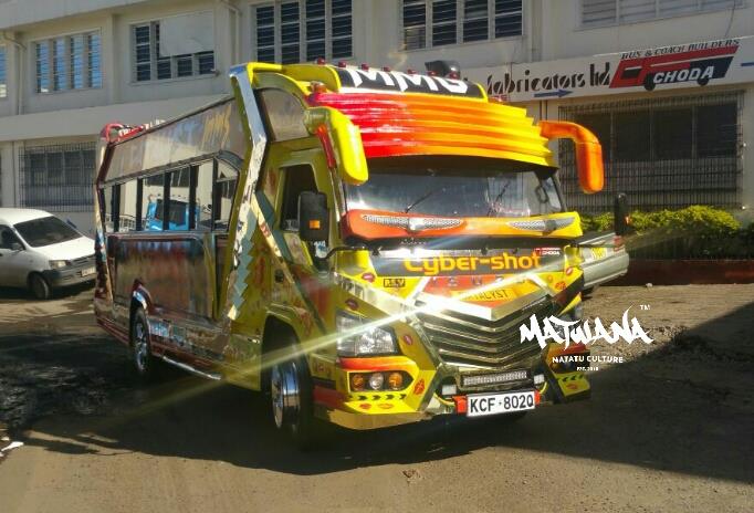 4496828_cat1_jpeg2773c7807a211a03a616f2242e63e954