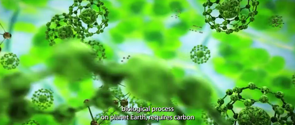 photosynthesis-carbon-dioxide.png