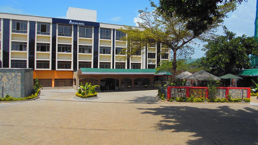 pinecone-hotel.jpg