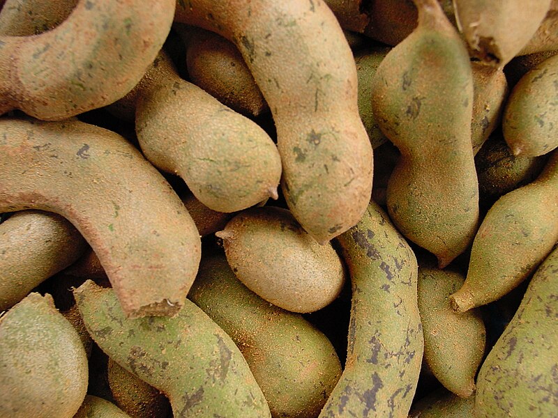 800px-Tamarind2.jpg