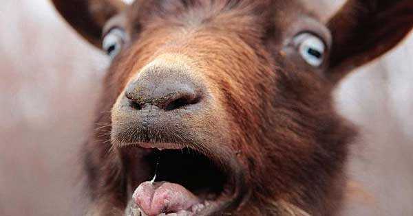 img5670703c05ee6-jpg.702068