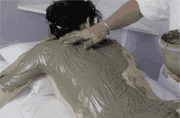 bodywrapnew.gif