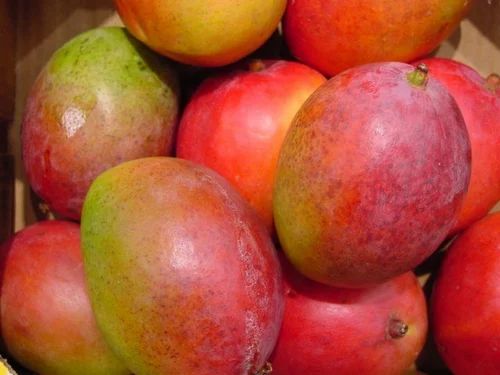 mango-fruit-500x500.jpg