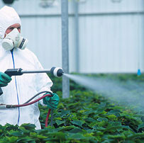 pesticide-300_tcm18-60750-18713_203x202.jpg